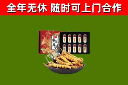 硚口回收冬虫夏草价格